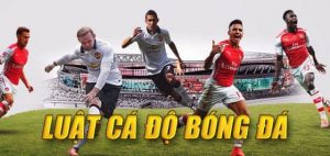 Cá độ bóng đá